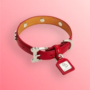 Adjustable Cat and Dog Collar