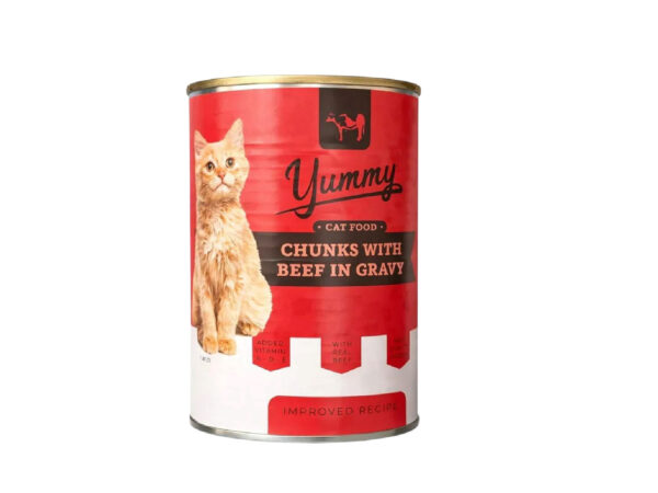 Yummy Chunks with Beef in Gravy 400g
