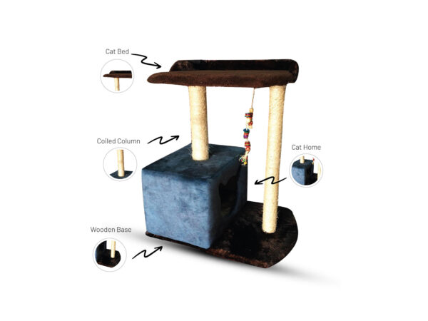 Cat Tree (CT202609)