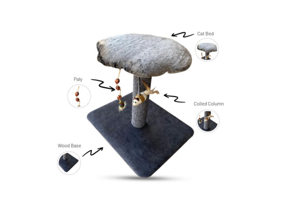 Cat Tree (CT202612)