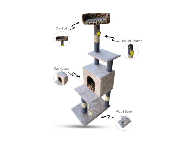 Cat Tree (CT202623)