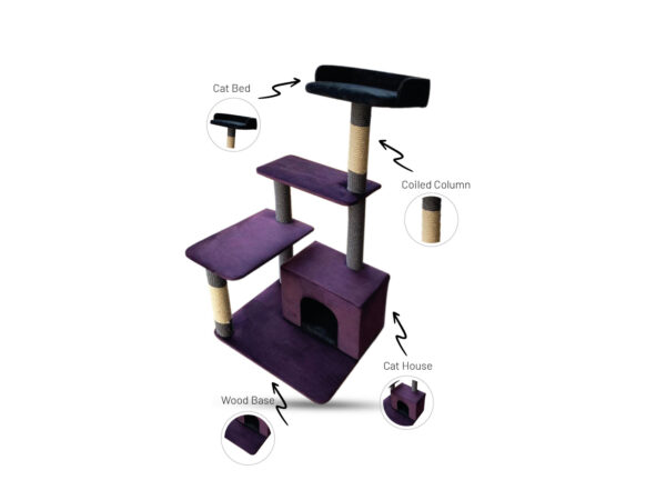 Cat Tree (CT202624)