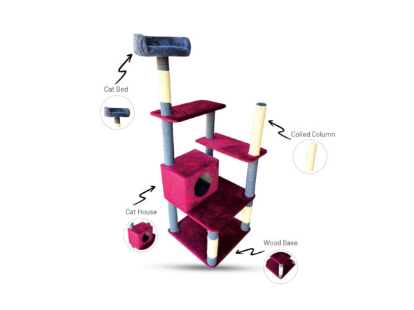 Cat Tree (CT202629)