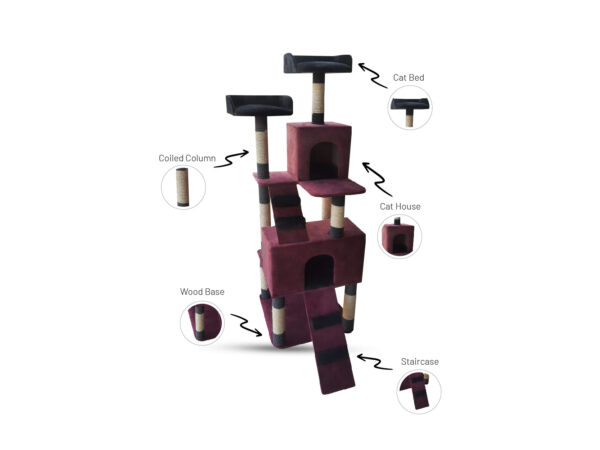 Cat Tree (CT202634)