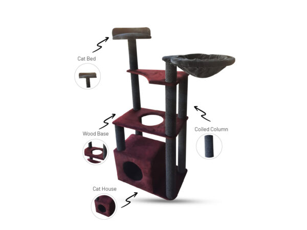 Cat Tree (CT202637)